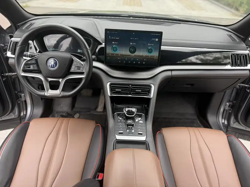 BYD PLUS — миниатюра 5