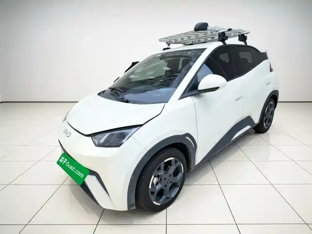 2024 BYD Seagull