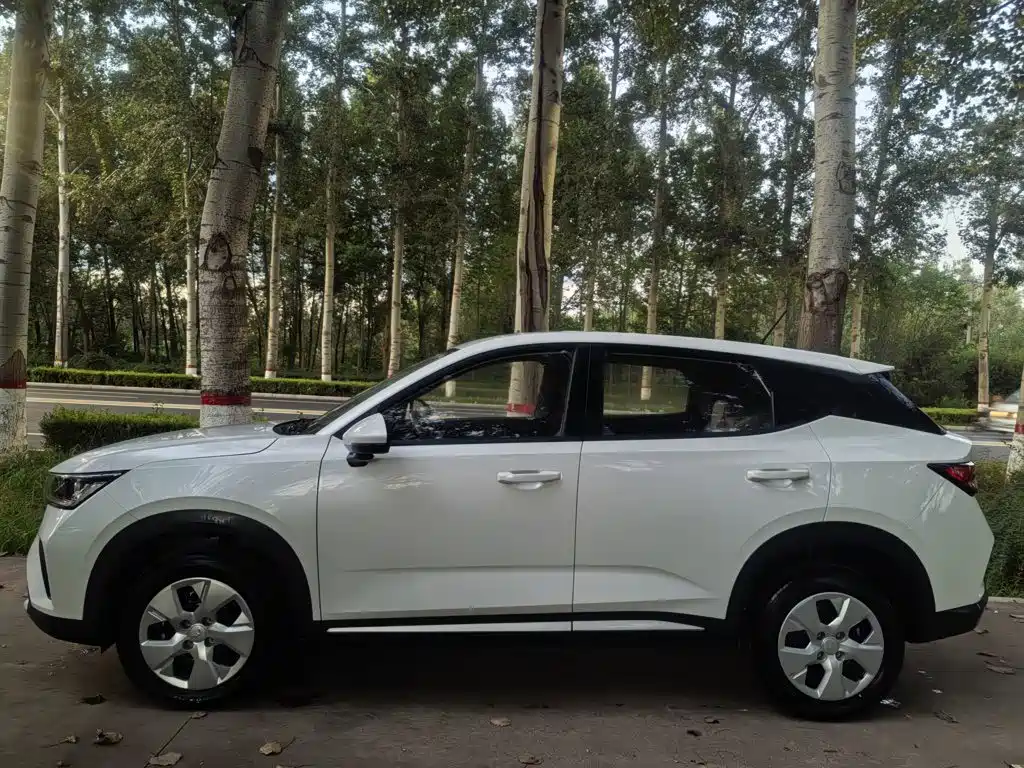 Wuling Xingchi — миниатюра 9