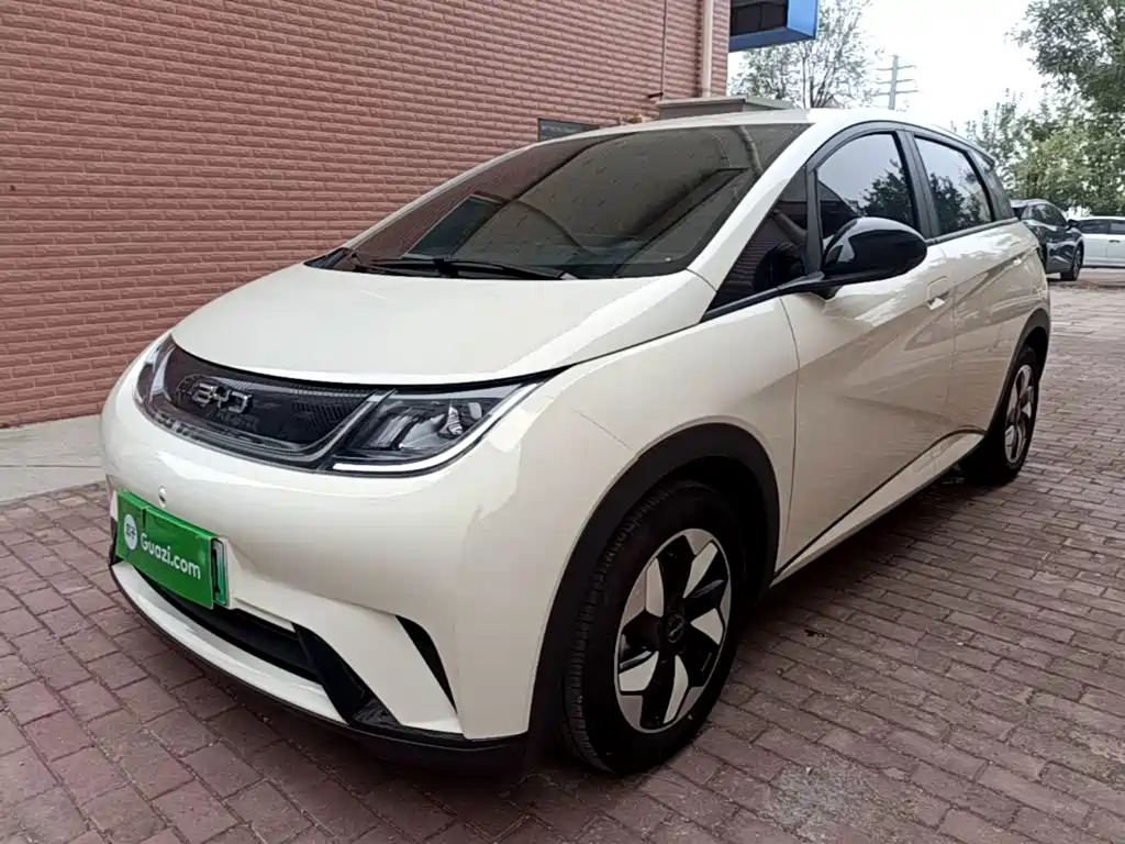 BYD Dolphin — миниатюра 2