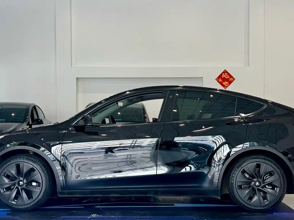 Tesla Model Y — миниатюра 5