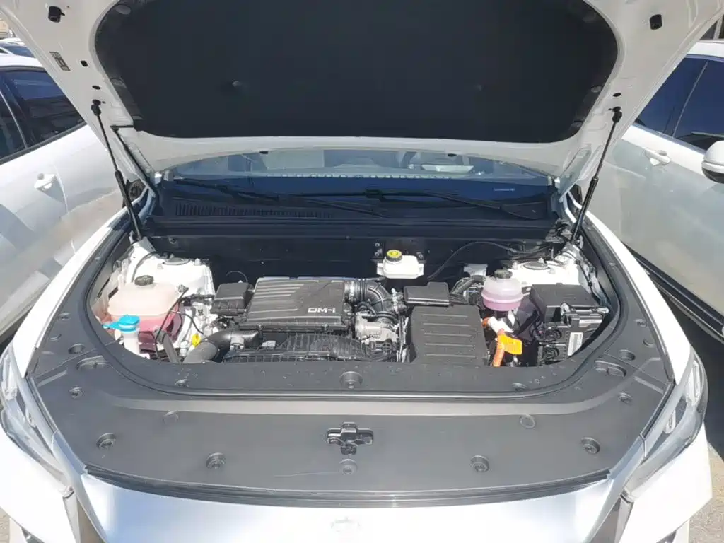 BYD Pro New Energy — миниатюра 20