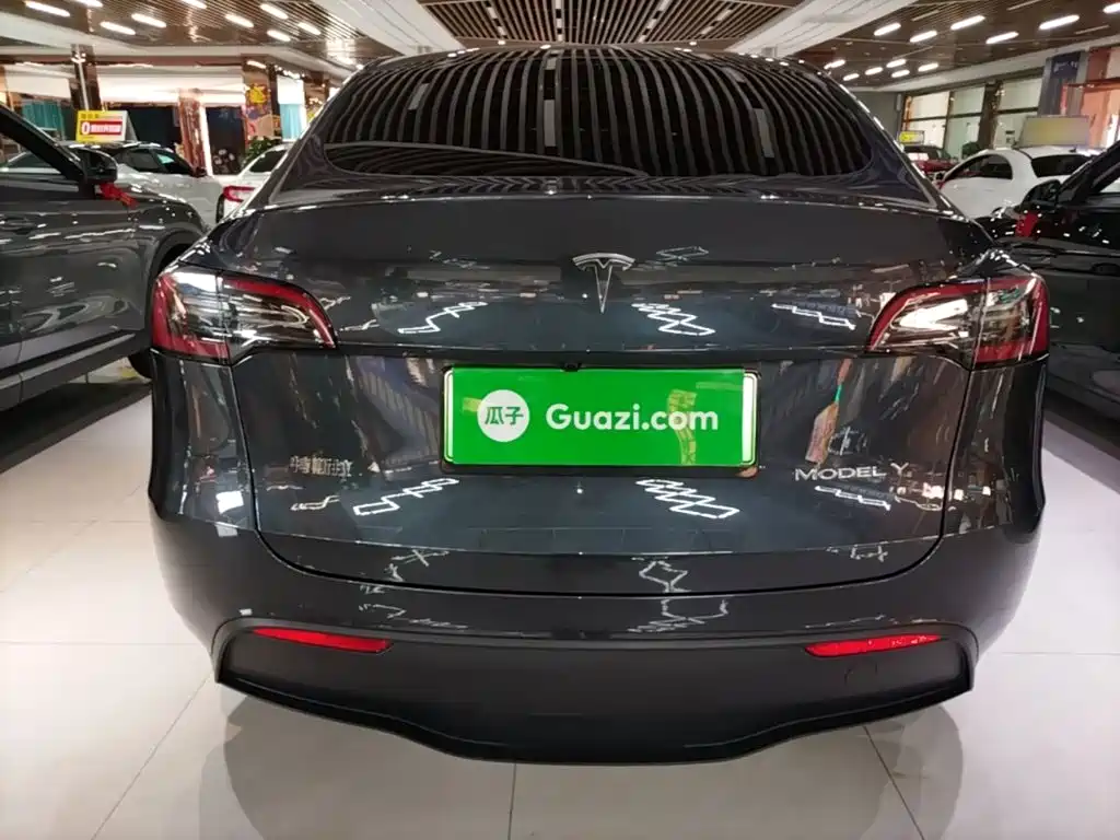 Tesla Model Y — миниатюра 6