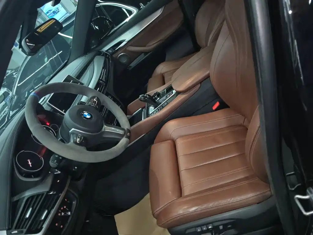 BMW X6 — миниатюра 7