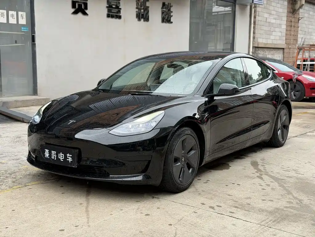 Tesla Model 3 2022