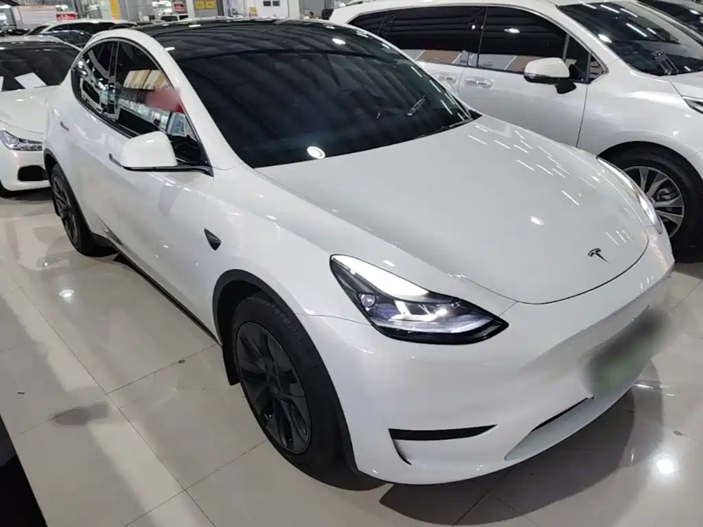 Tesla Model Y — миниатюра 3