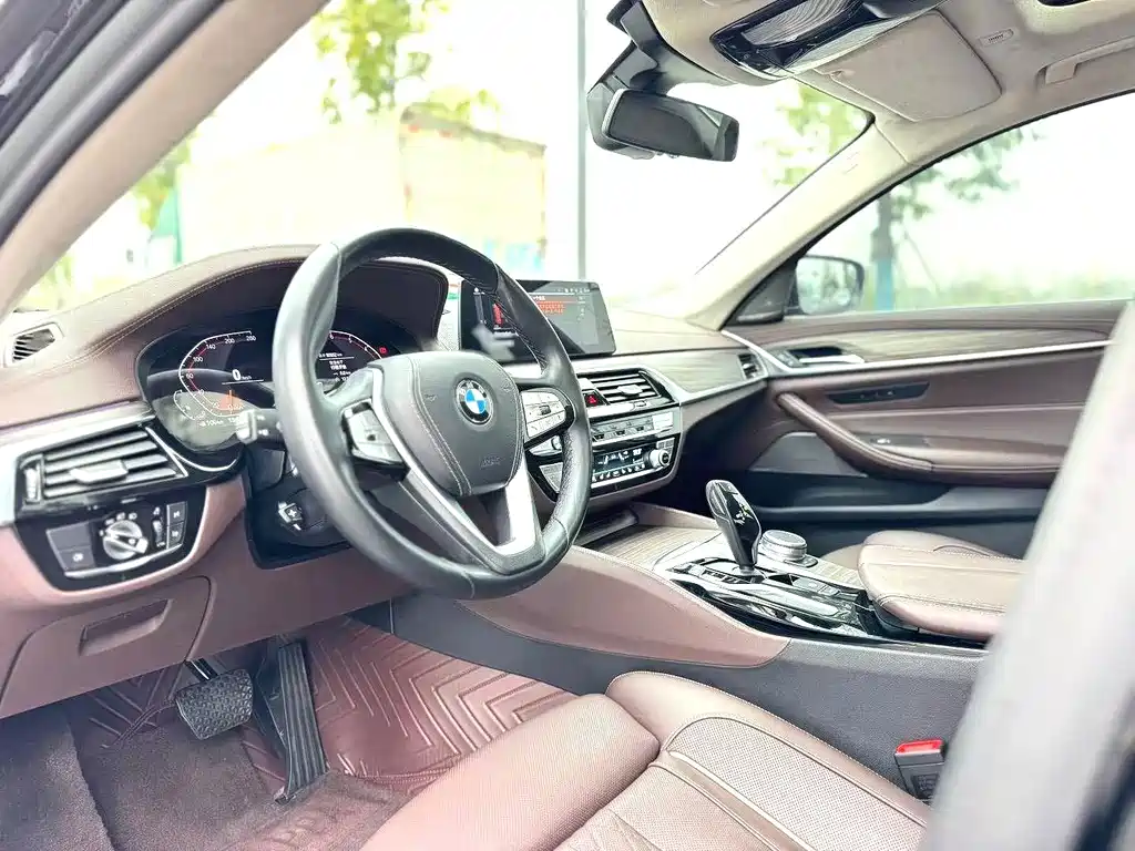 BMW 5 Series 5 2020 530Li Premium Luxury
