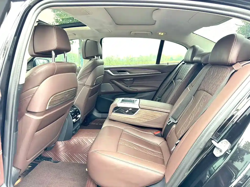 BMW 5 Series 5 2020 530Li Premium Luxury