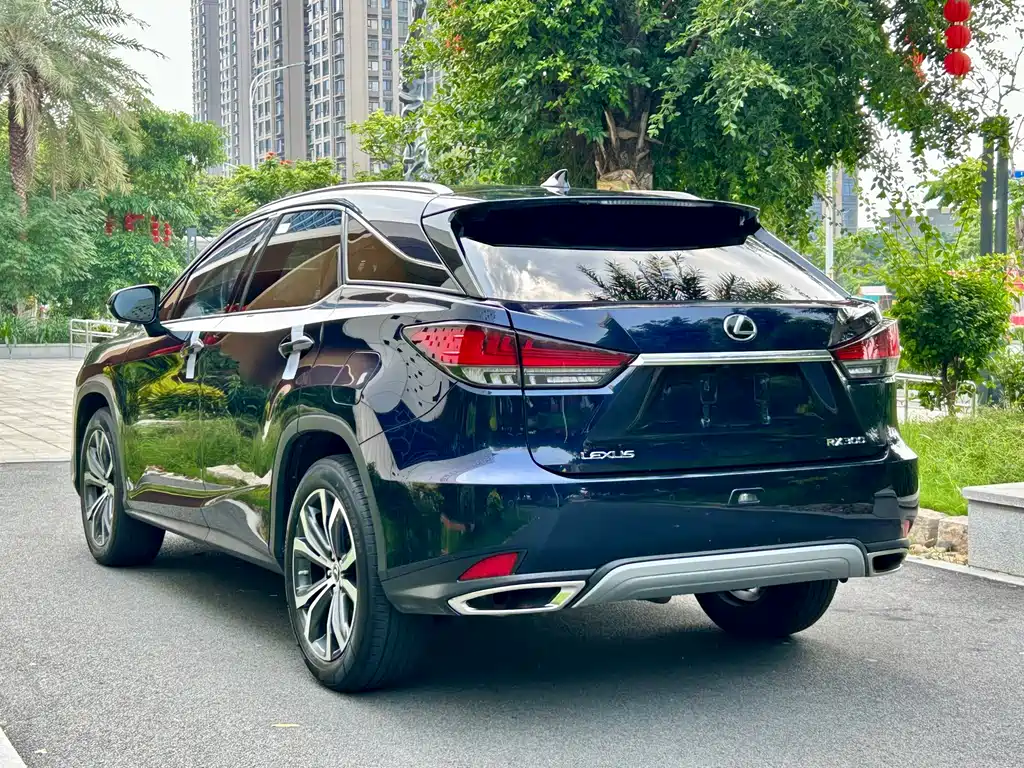 Lexus RX 2020 300 Elegant VI
