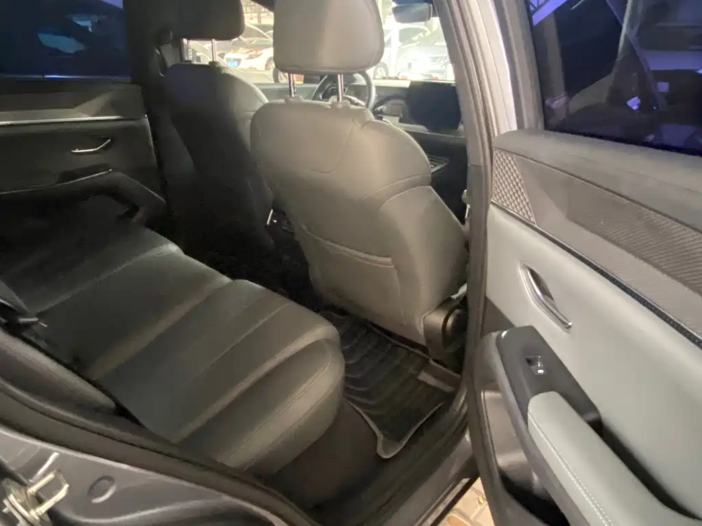 BYD Pro New Energy — миниатюра 6