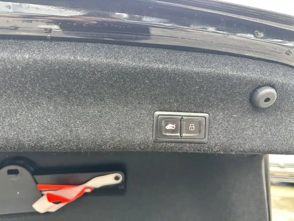 Volkswagen Magotan 2020 330TSI DSG Lead