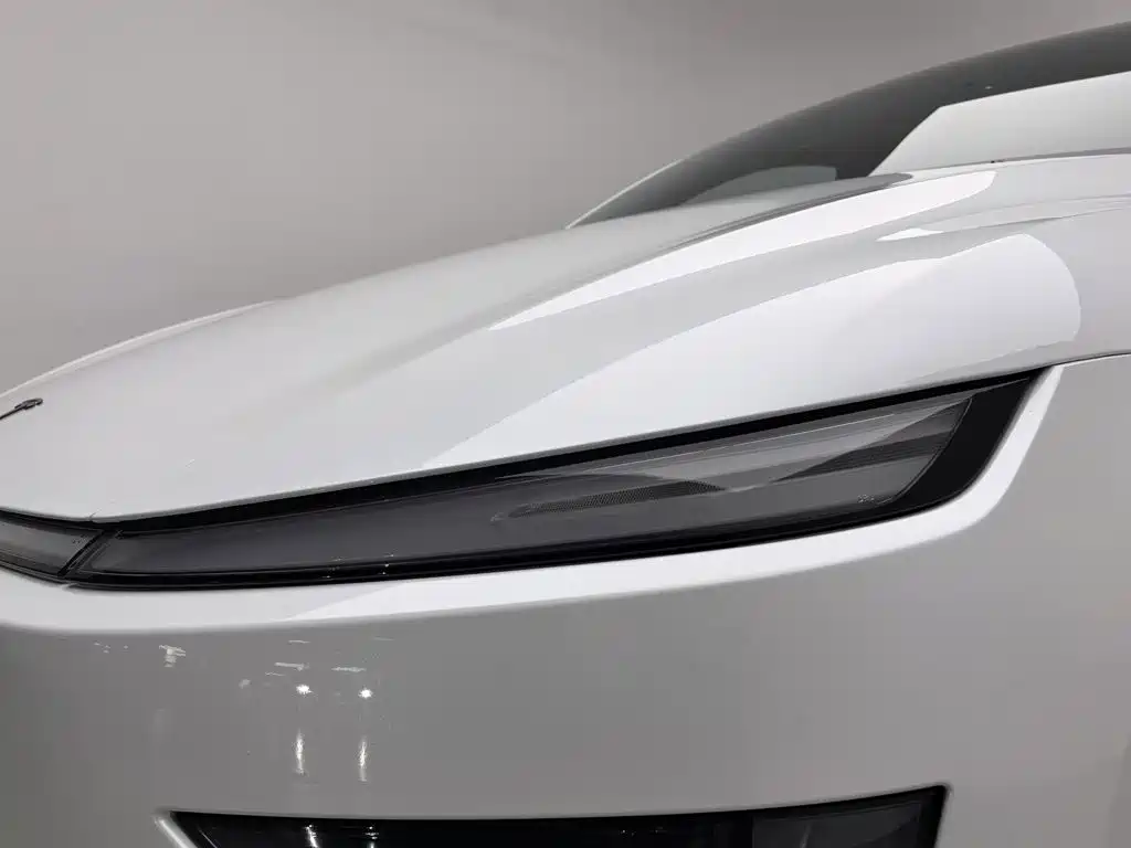 Tesla Model Y — миниатюра 7