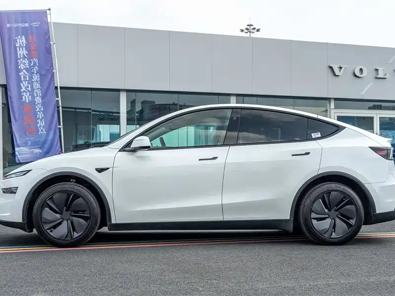 Tesla Model Y — миниатюра 5
