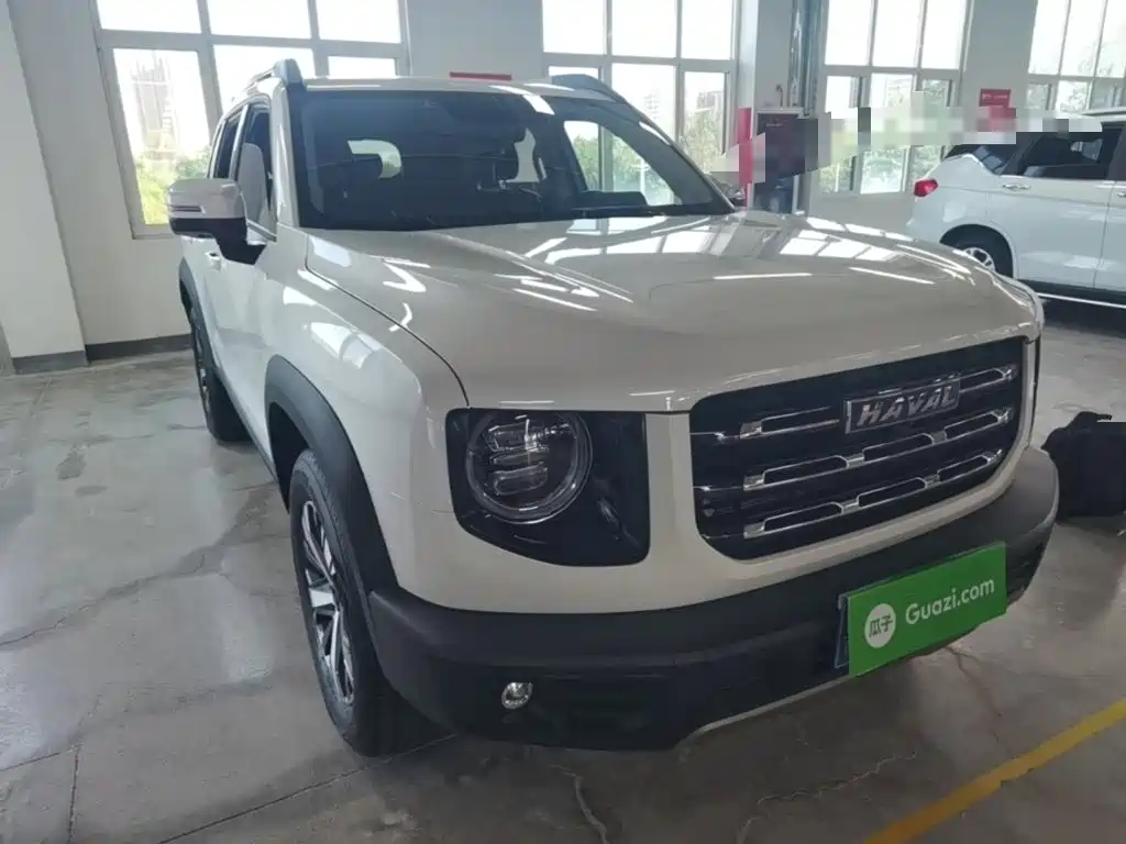 Haval Big Dog — миниатюра 4