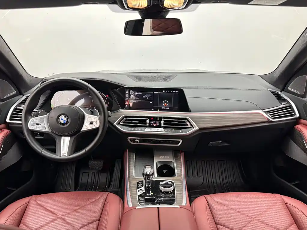 BMW X5 — миниатюра 10