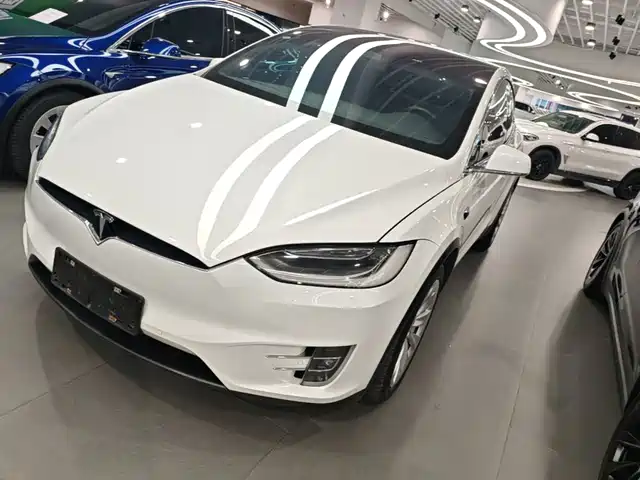 2019 Tesla Model X