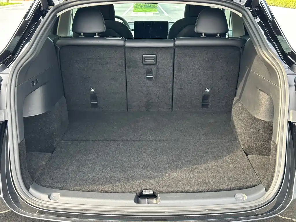 Tesla Model Y — миниатюра 18