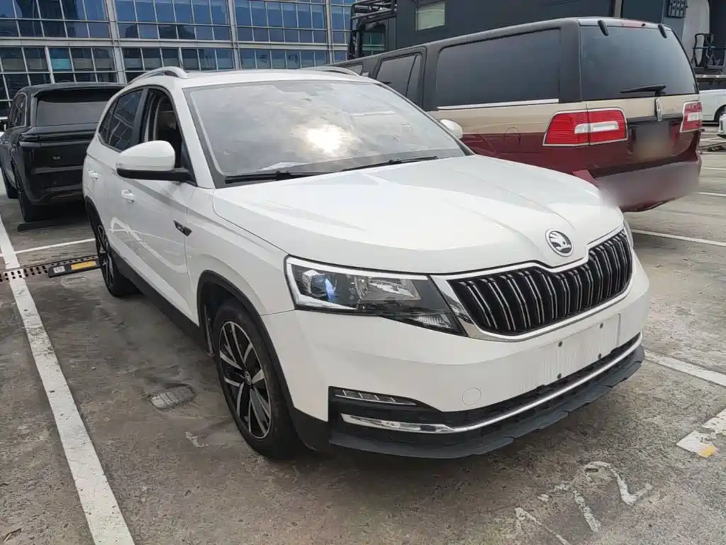 Skoda Kamiq — миниатюра 4