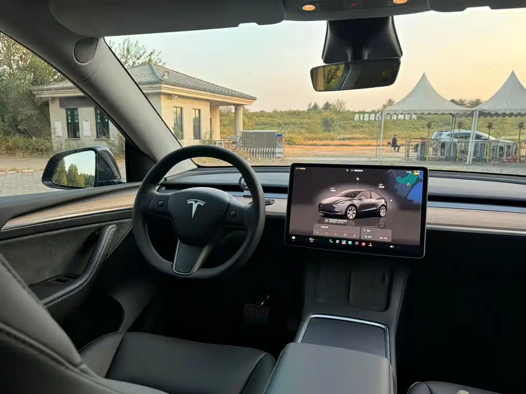 Tesla Model Y — миниатюра 17