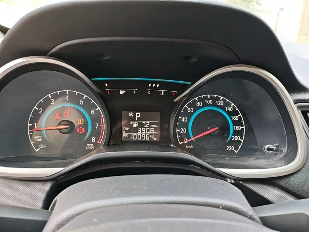 Chevrolet Cavalier — миниатюра 12
