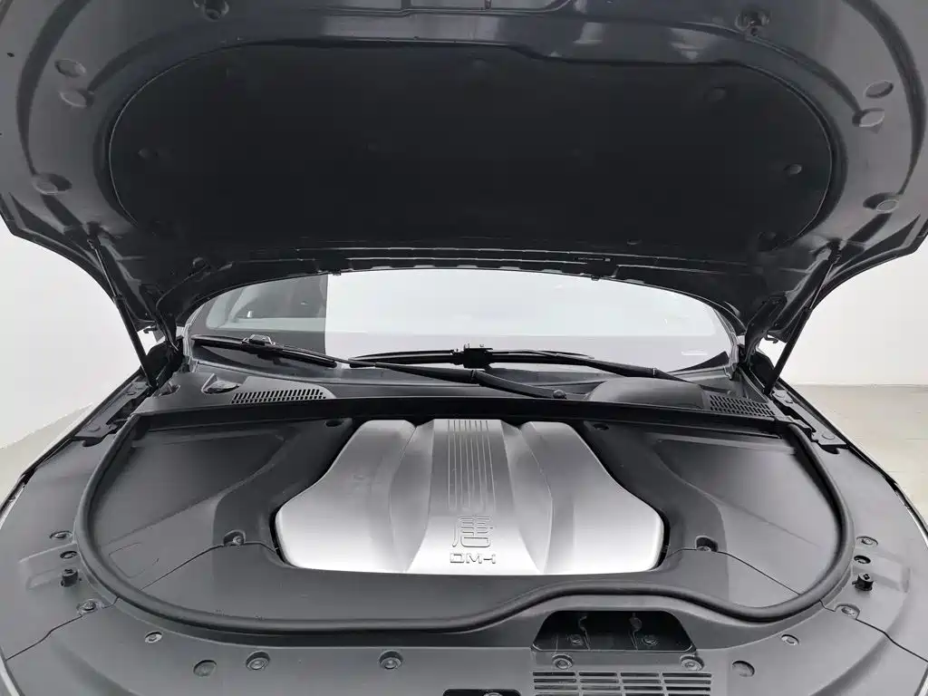 BYD Tang New Energy — миниатюра 6