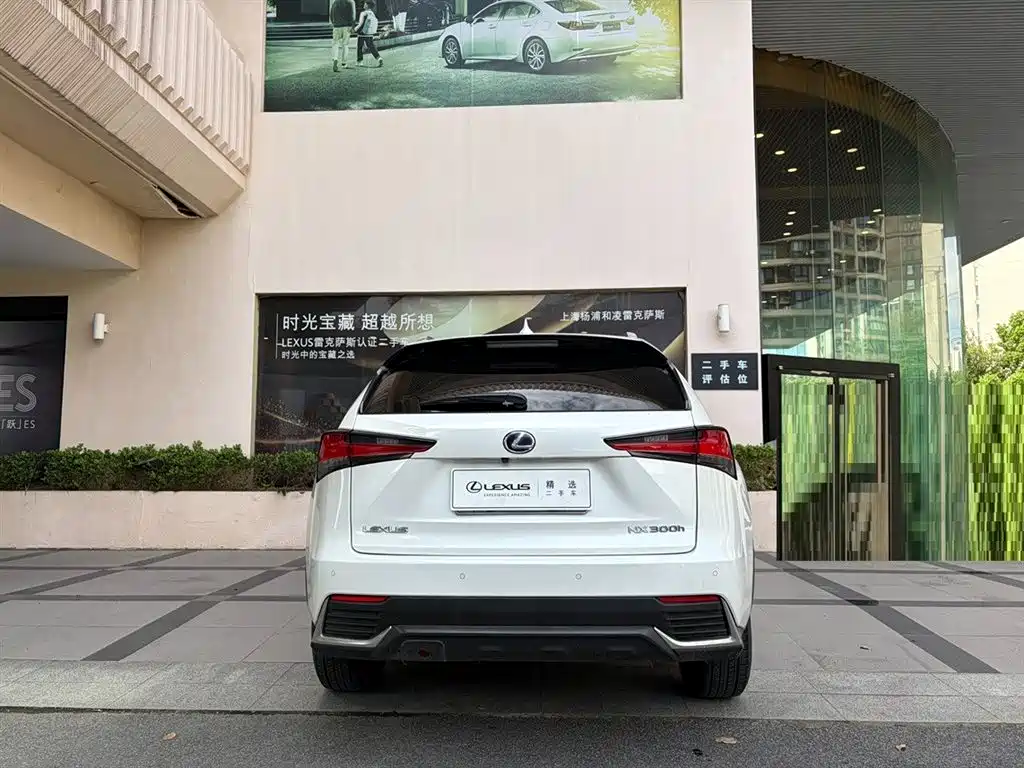 Lexus NX — миниатюра 4