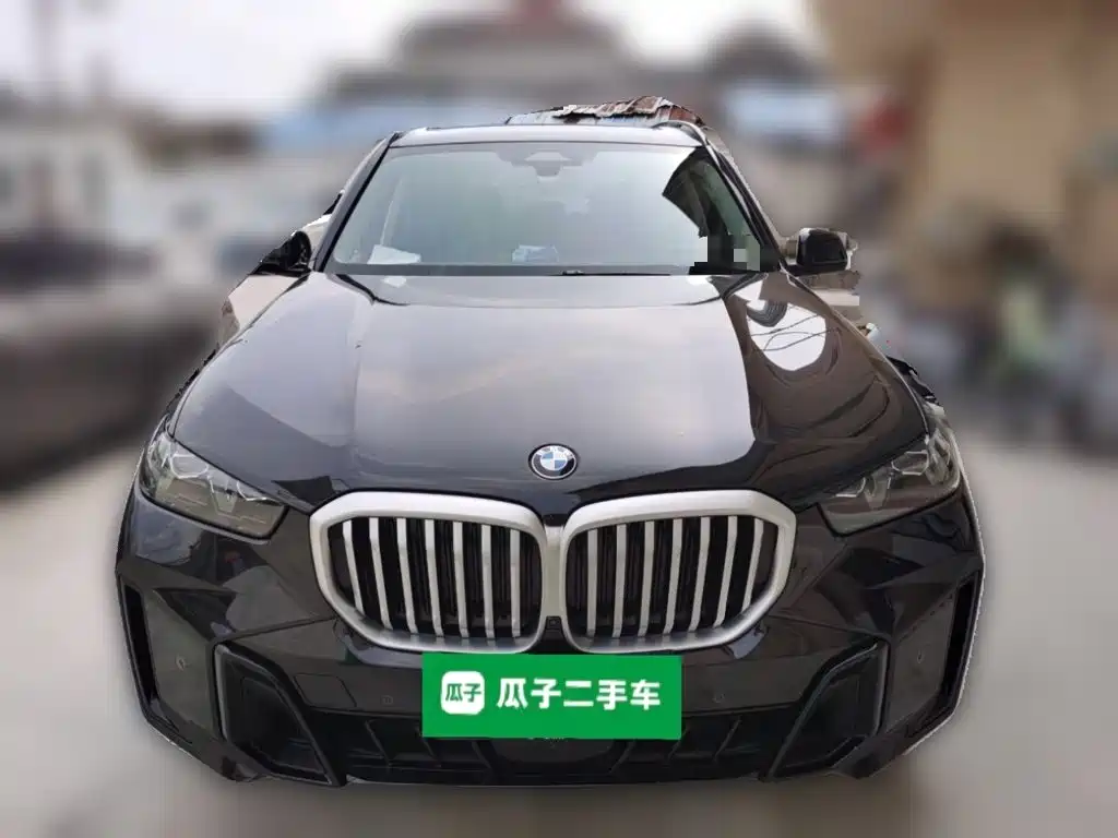BMW X5 — миниатюра 24