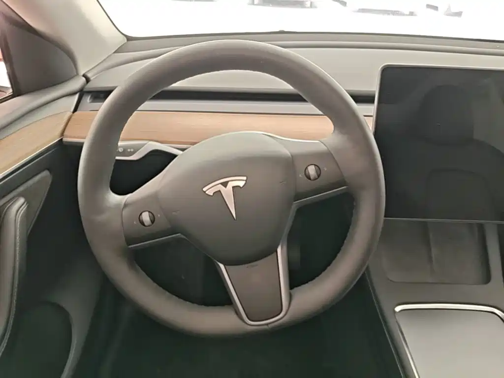 Tesla Model Y — миниатюра 15