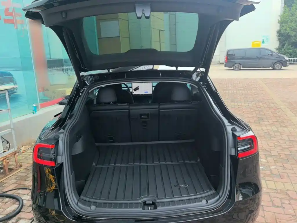 Tesla Model Y — миниатюра 19