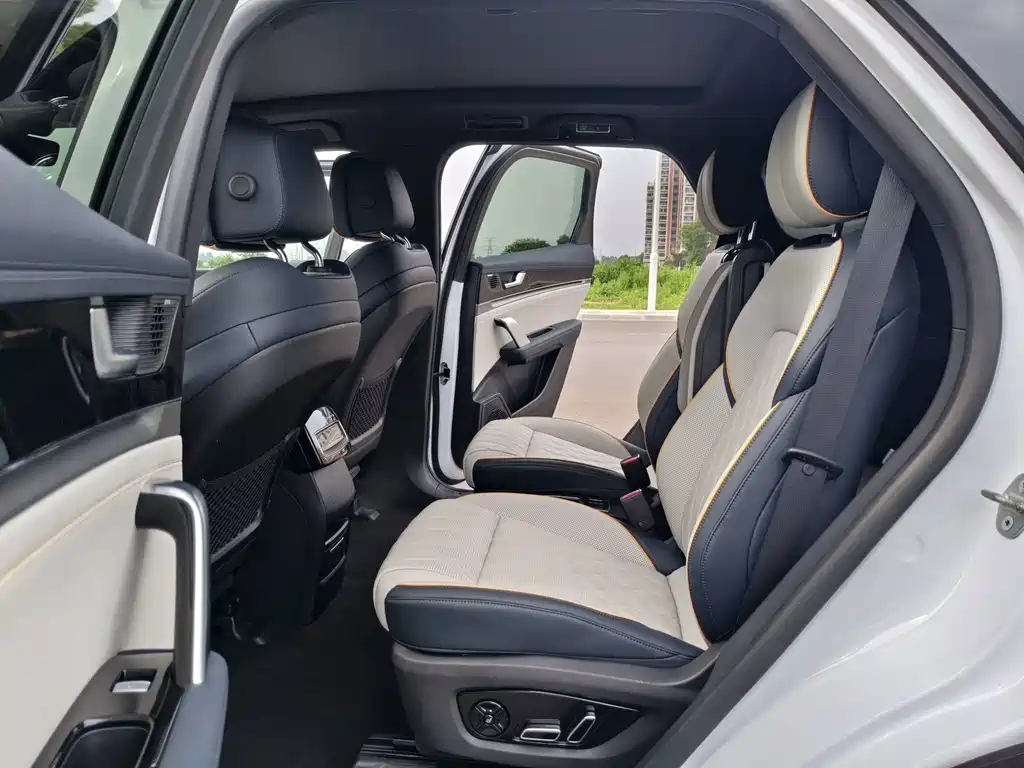 BYD Tang New Energy DM-p Champion Edition 215KM 4WD Premium Type, фото 10