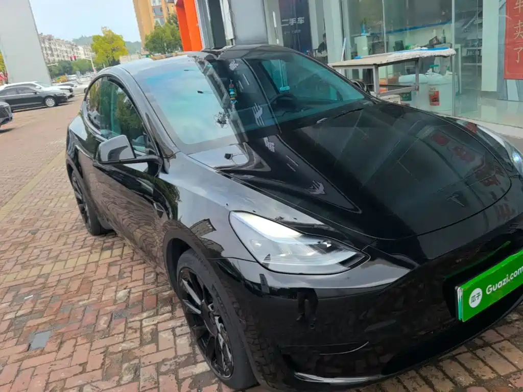 Tesla Model Y — миниатюра 4