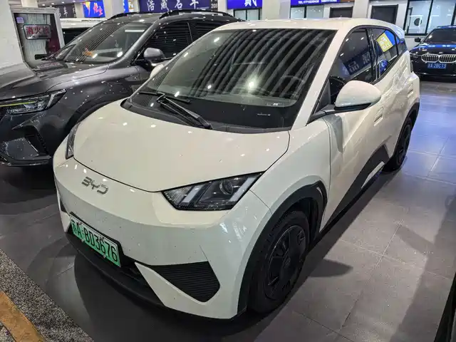 2026 BYD Seagull