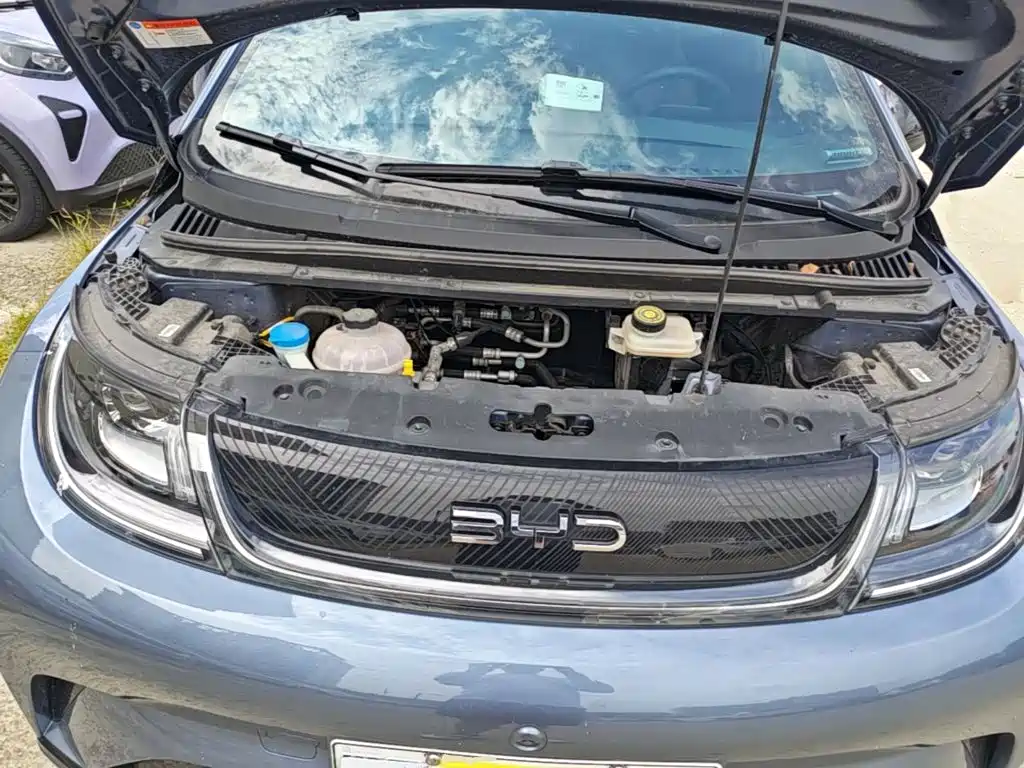 BYD Dolphin — миниатюра 20