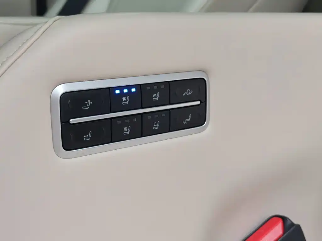 Wey Gaoshan New Energy 4WD Flagship Edition, фото 12