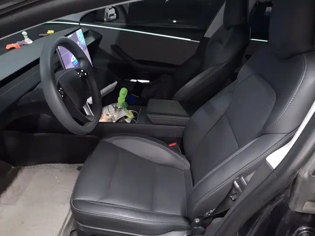 Tesla Model 3 — миниатюра 11