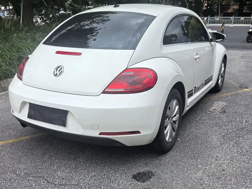 Volkswagen Beetle — миниатюра 14