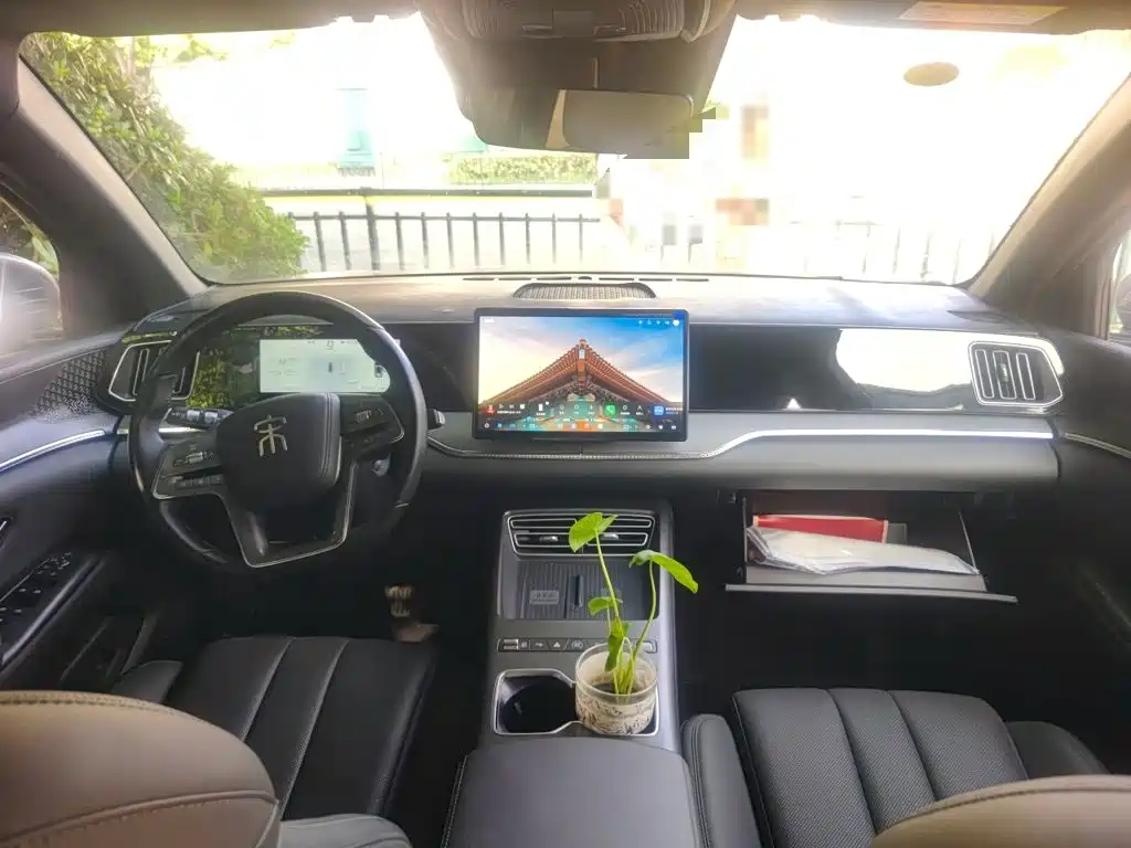 BYD Pro New Energy — миниатюра 5