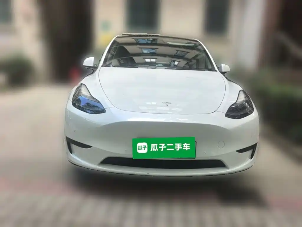 Tesla Model Y — миниатюра 2