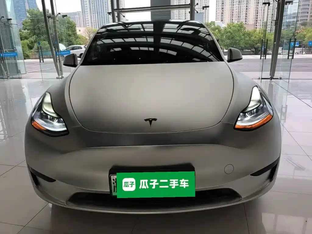 Tesla Model Y — миниатюра 3