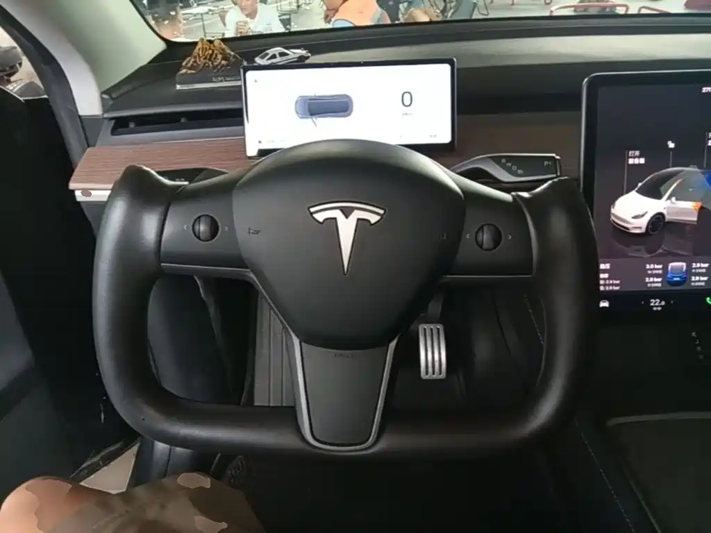 Tesla Model Y — миниатюра 7