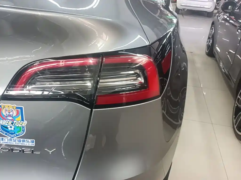 Tesla Model Y — миниатюра 8