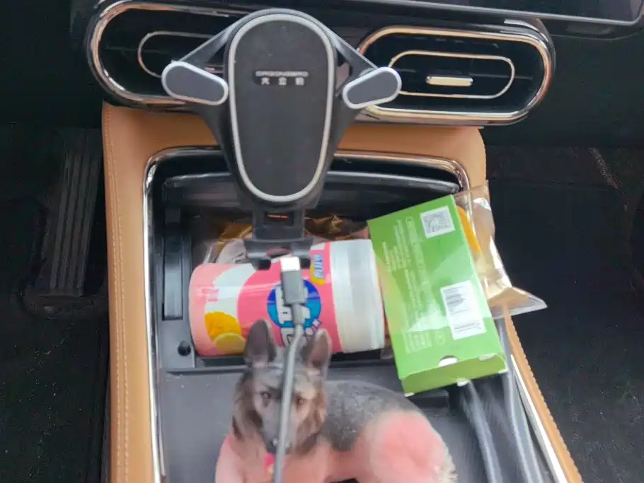 Leapmotor Leapmotor C11 — миниатюра 16
