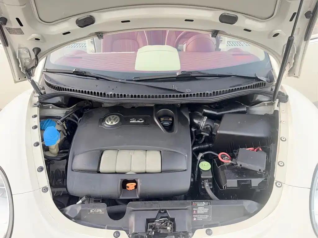 Volkswagen Beetle — миниатюра 19