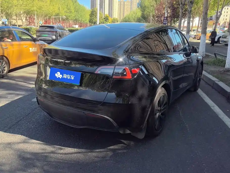 Tesla Model Y — миниатюра 3