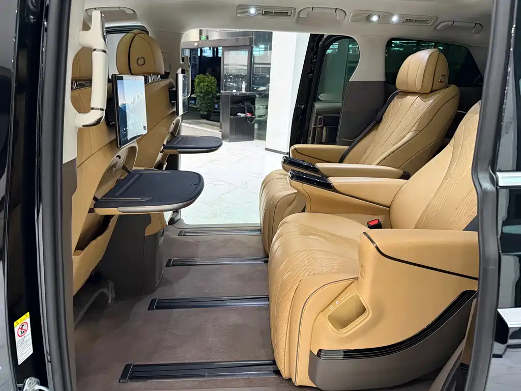 Denza Denza D9 — миниатюра 17
