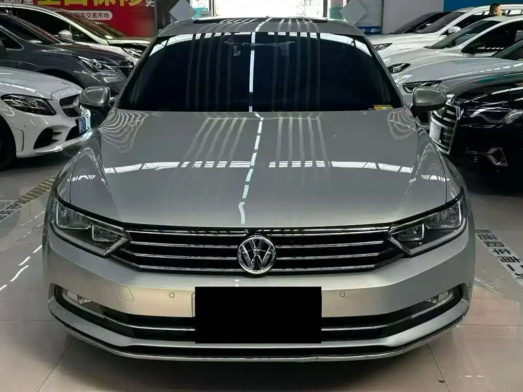 Volkswagen Magotan — миниатюра 2