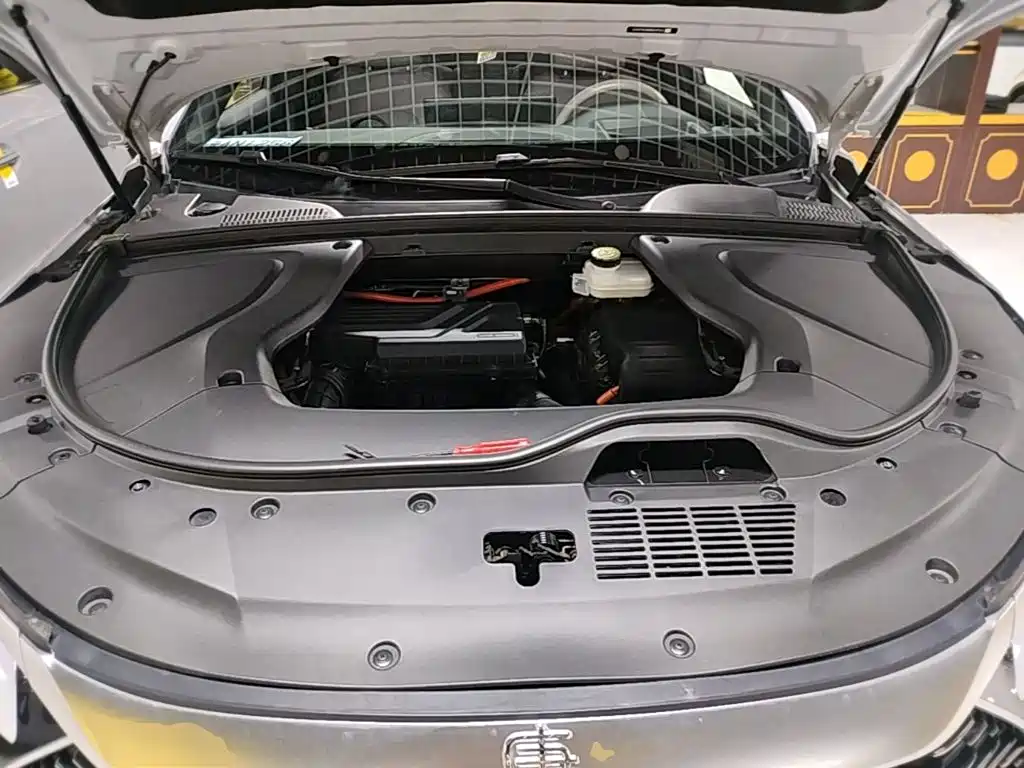 BYD Tang New Energy — миниатюра 25