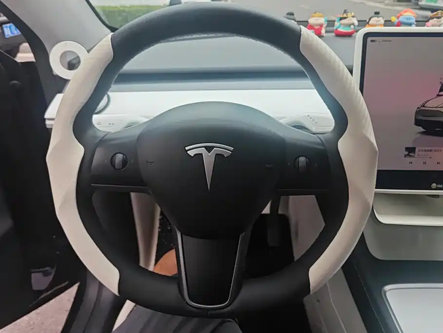 Tesla Model Y — миниатюра 15