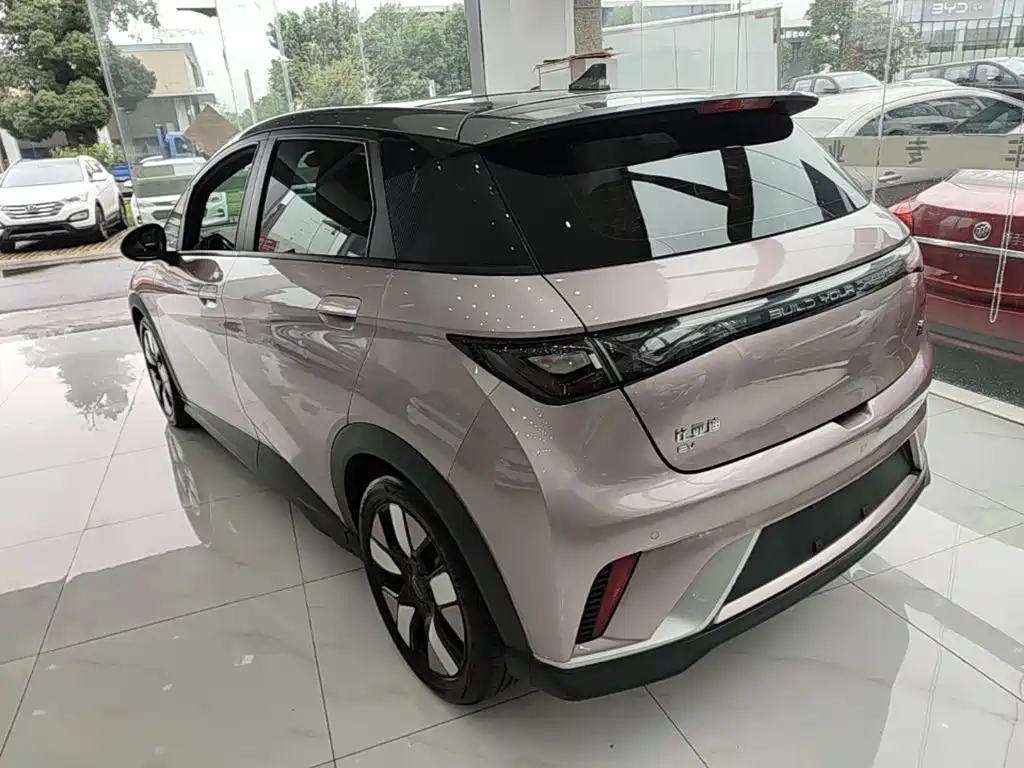BYD Dolphin — миниатюра 5