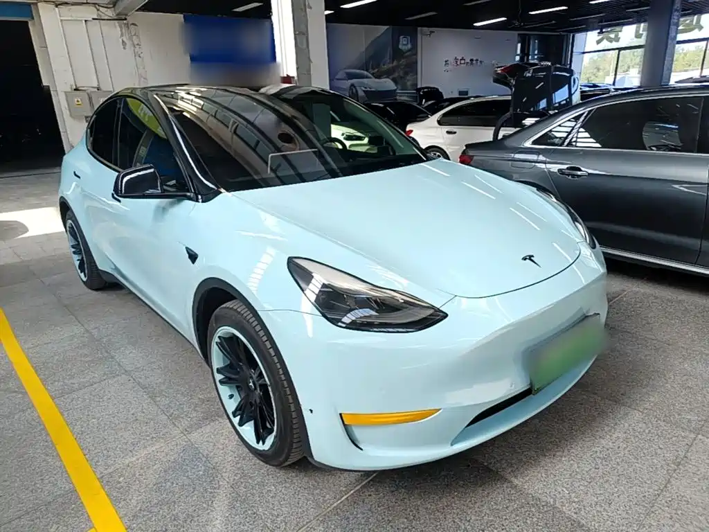 Tesla Model Y — миниатюра 4
